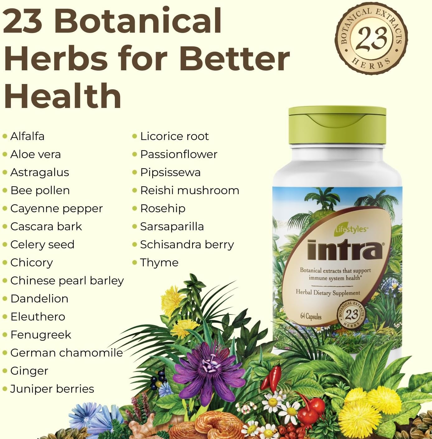 Intra Lifestyles Capsules – Herbal Supplement for Immune and Energy Support – 23 Botanical Extracts – Made in Canada – 64 Capsules (64 Capsules (Pack of 1))