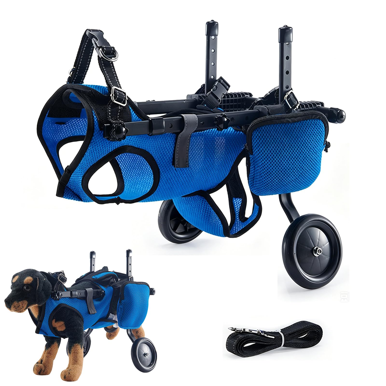 Attelle de jambe pour chien et chariot de promenade pour parc