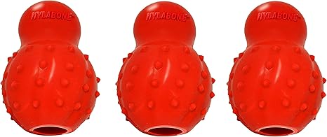nylabone stuffable chew toy