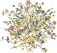 Vista 8 de Juego de calcomanías de plantas de flores (120 piezas) – Adhesivo decorativo transparente PET para álbumes de recortes, planificador de diario