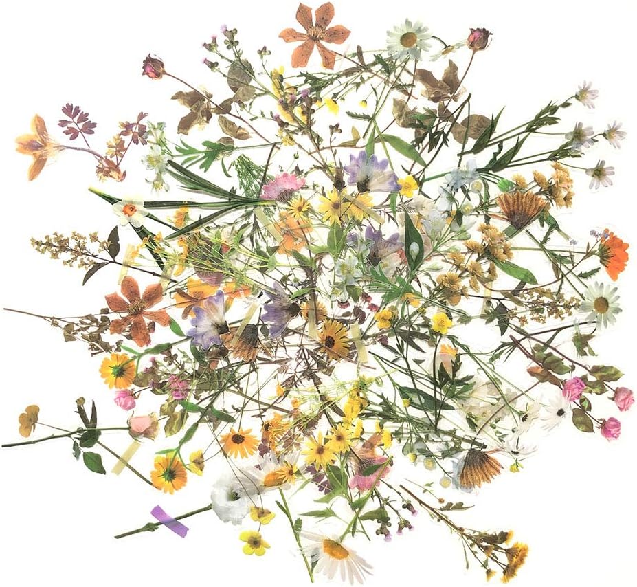 1000ArtCute Retro Floral Stickers Set(120 PCS) PET Transparent Flower Stickers for Scrapbooking Planner Journaling Wrapping DIY Crafts Cards Album Water Bottles Phone Cases Laptops