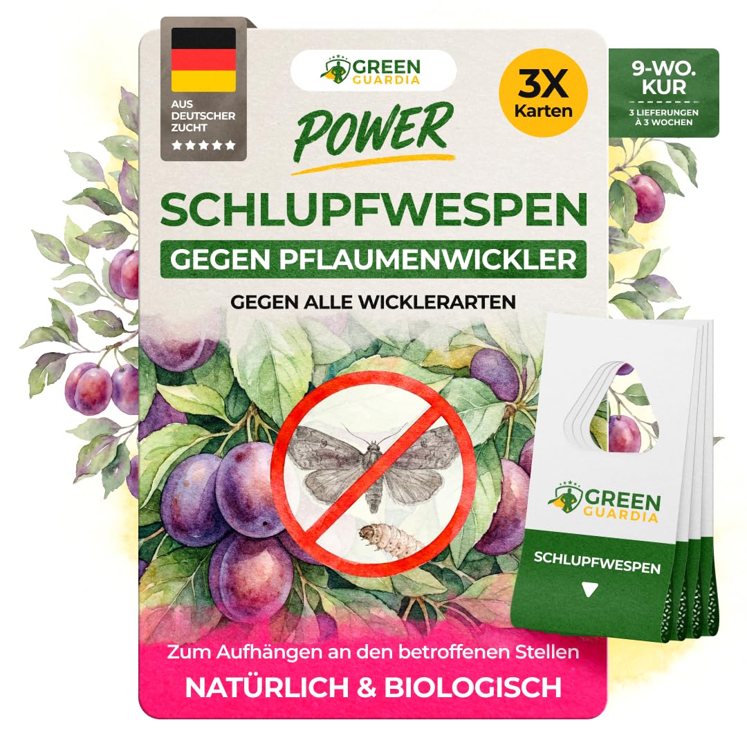 GREEN GUARDIA Schlupfwespen gegen Pflaumenwickler - 3 Karten à 3 Lieferungen - Effektive Bio-Bekämpfung gegen Pflaumenwickler, Alternative zuWicklerfalle, Spritzmitteln, Nematoden & Pheromonfallen