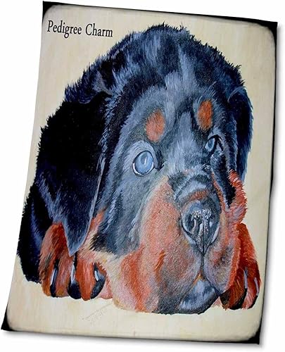 3dRose Pedigree Charm- Humor, Dog, Dogs, Rottweiler, Rottie, rotties,... - Towels (twl-78690-2)