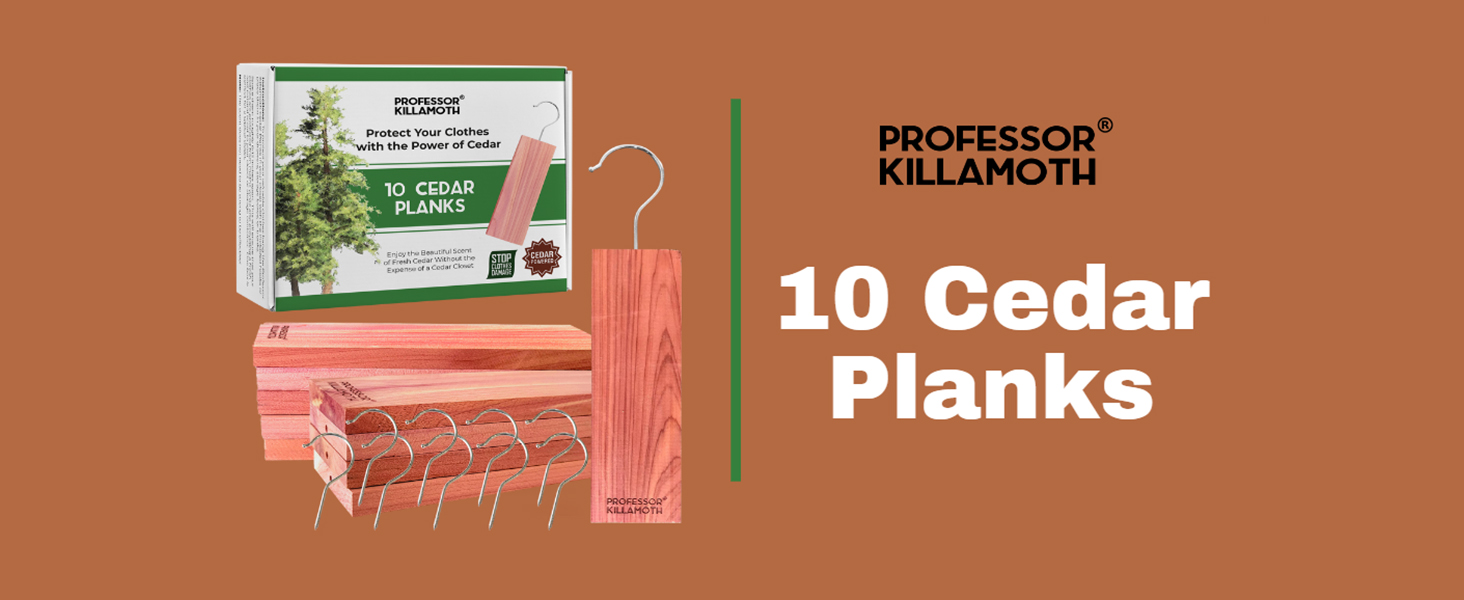 Amazon.com: Cedar Blocks for Clothes Storage – Stop Clothes Damage