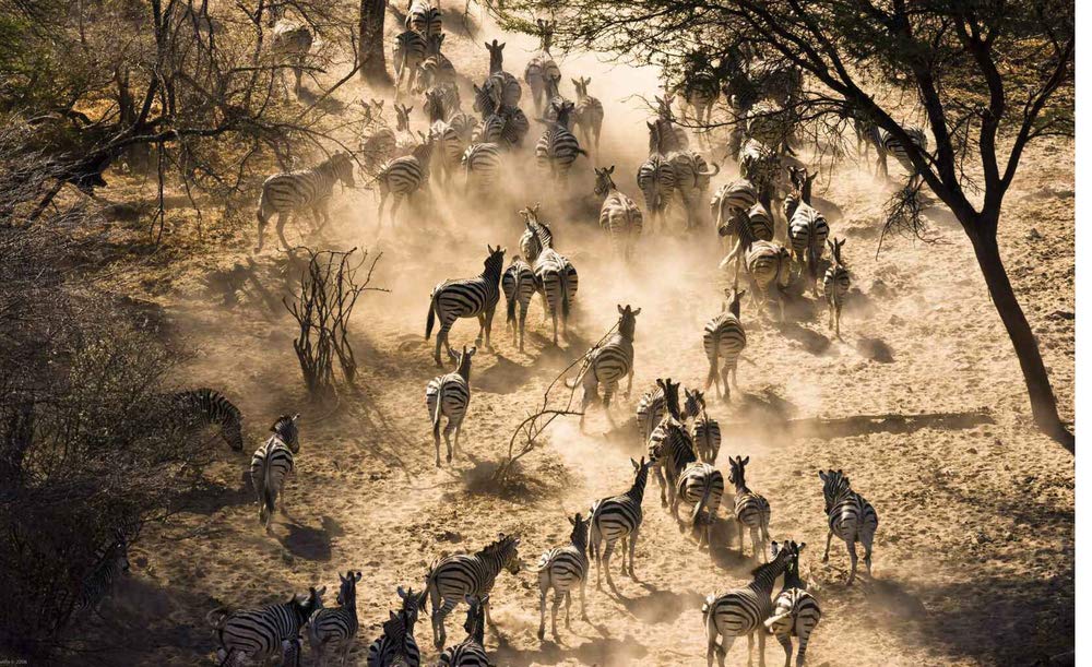 Deserts of the World (Spectacular Places)