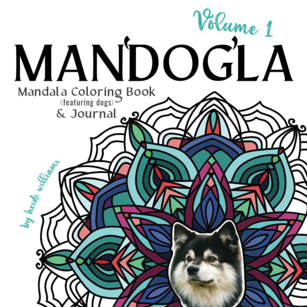 Premium Color Interior Mandogla