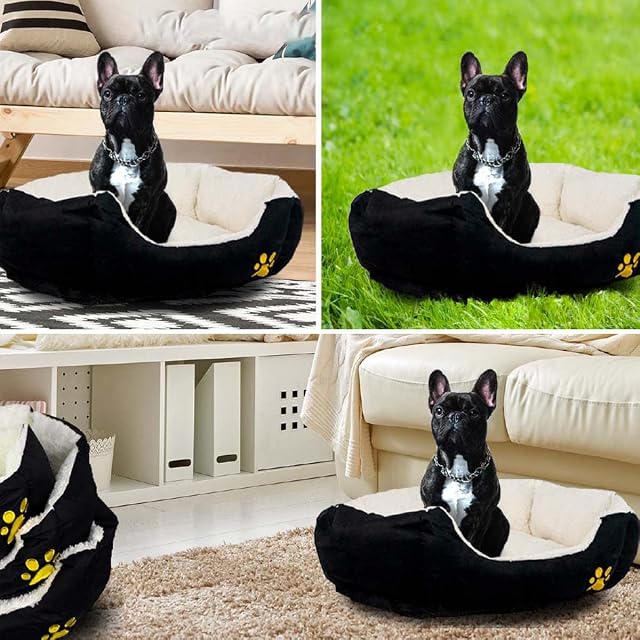 Foto 3 de 8 de Mobiclinic, Cama Perro, Pluto, Perros medianos, Marca española, Varios tamaños Disponibles, Suave, Gato