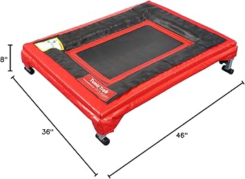 Tumbl Trak Mini Trak, Red - Small Mini Trampoline for Gymnastics, Cheer and Ninja Training