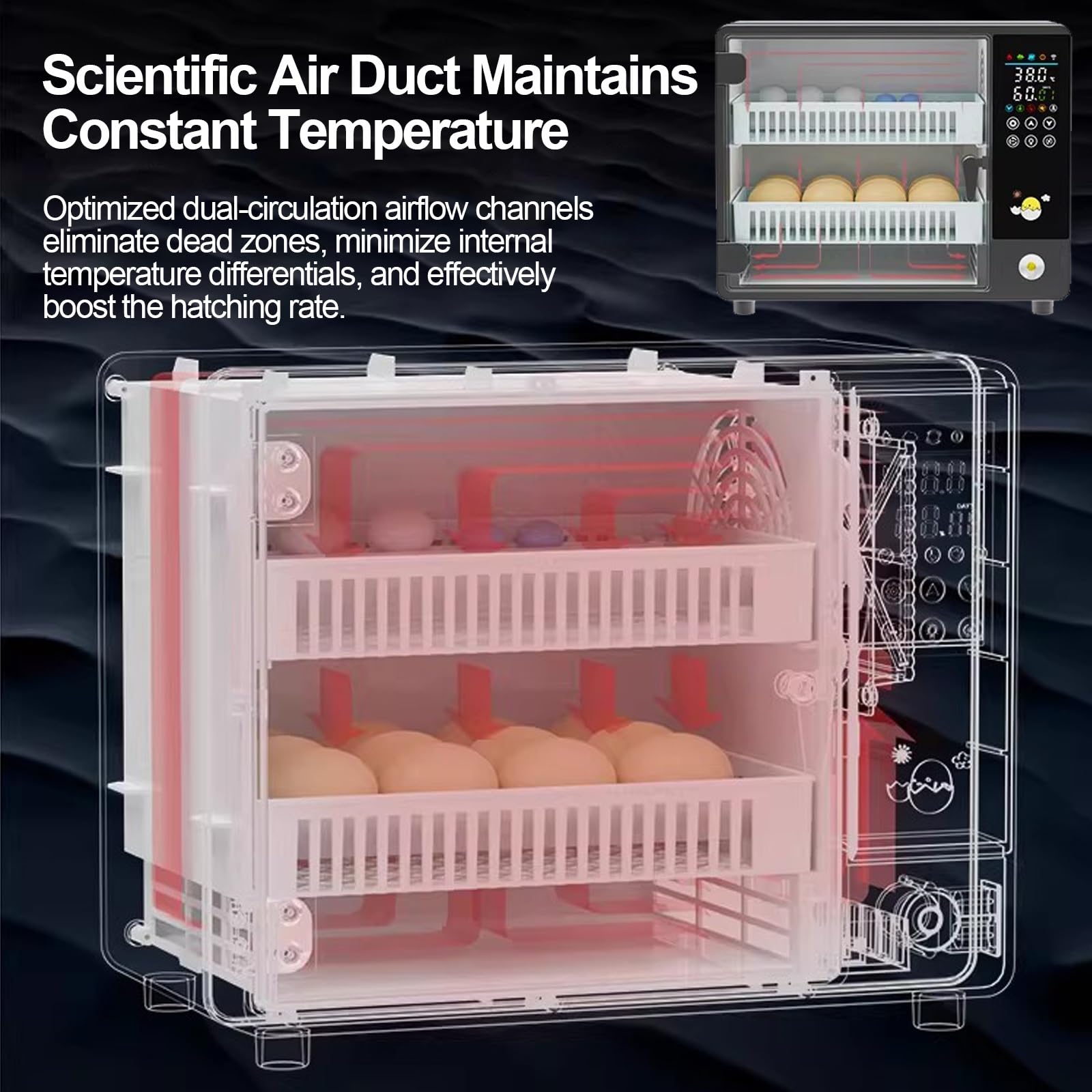 Incubadora de Huevos Automática, Eclosionadora Digital con Control de Temperatura y Humedad, para Gallina, Pato, Codorniz y Paloma(50 Eggs)