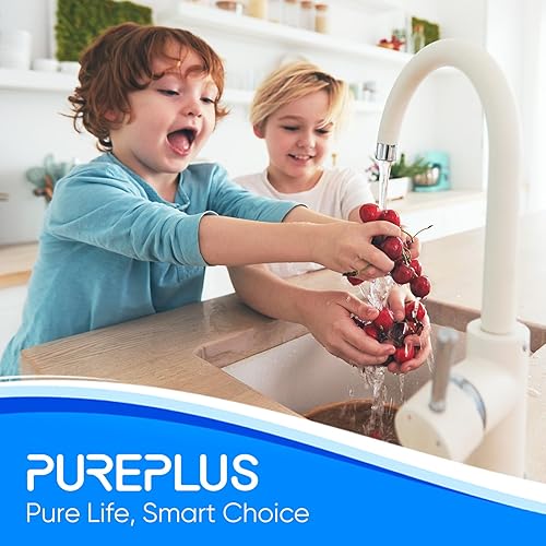 Miniatura 9 de PUREPLUS Filtro de agua para toda la casa de 1 etapa, con filtro de agua reductor de hierro y manganeso, para agua de pozo, carcasa universal