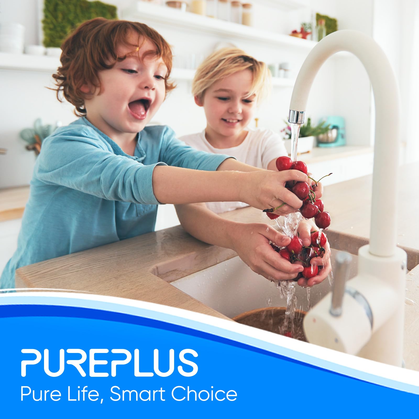 PUREPLUS Filtro de agua de 1 etapa para toda la casa, con filtro de agua reductor de manganeso de hierro, cartucho de sedimentos de 10 x 4.5 pulgadas, carcasa universal, para agua de pozo