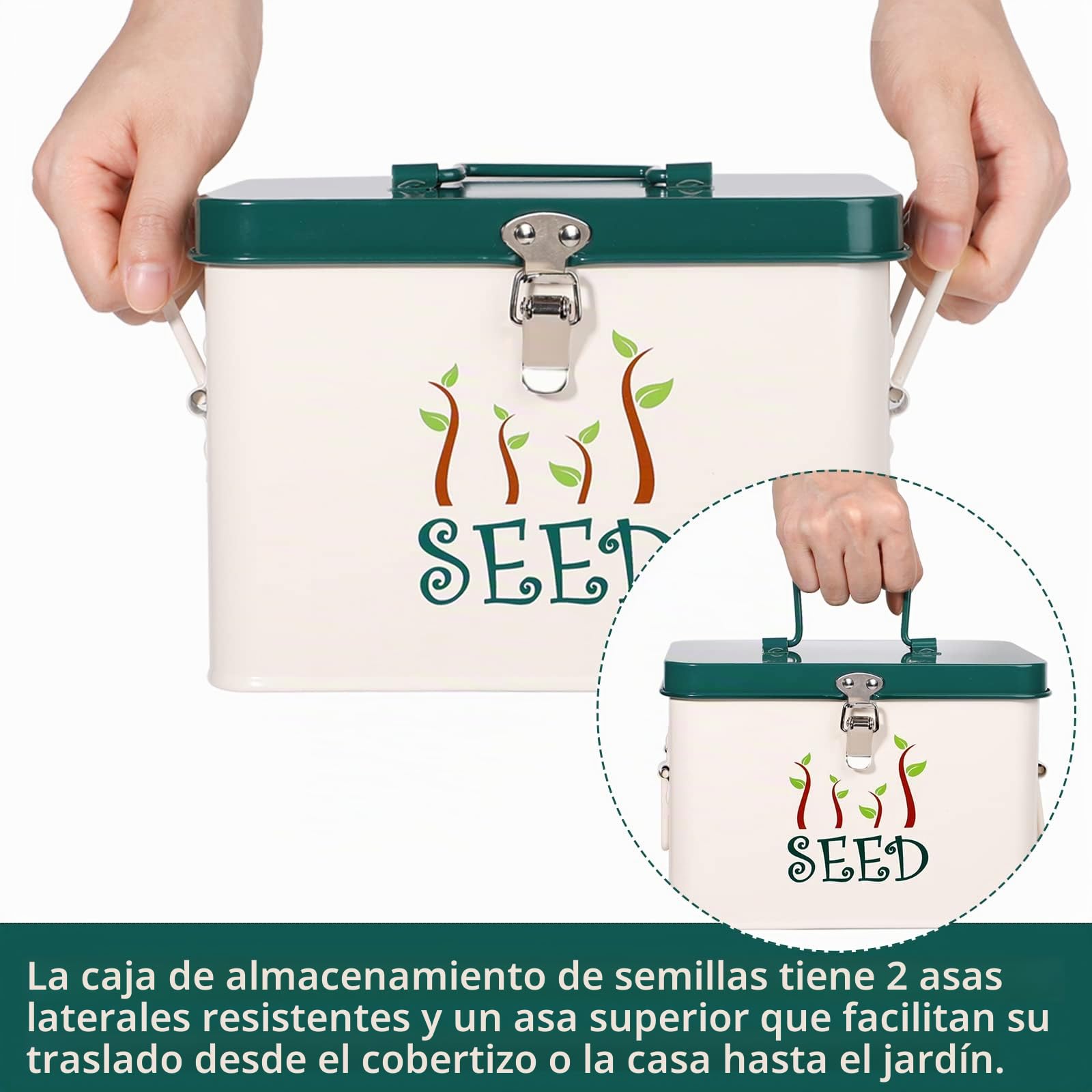webake Contenedor para semillas con tapa y paredes divisorias, 22,5 x 17 x 15,5 cm