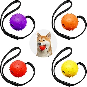 Skylety 4 Pcs Ball on Rope Dog Toy Dog Training Ball on a String Interactive 1 97 x