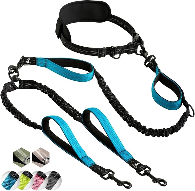 SparklyPets - Correa Doble Manos Libres para Perros de Raza Mediana y Grande, arnés Profesional con Costuras…