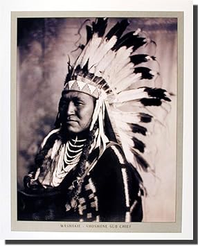 Impact Posters Gallery Native American Wall Decor Picture Historical Indian Chief Of Indian Art Print Poster 16x20