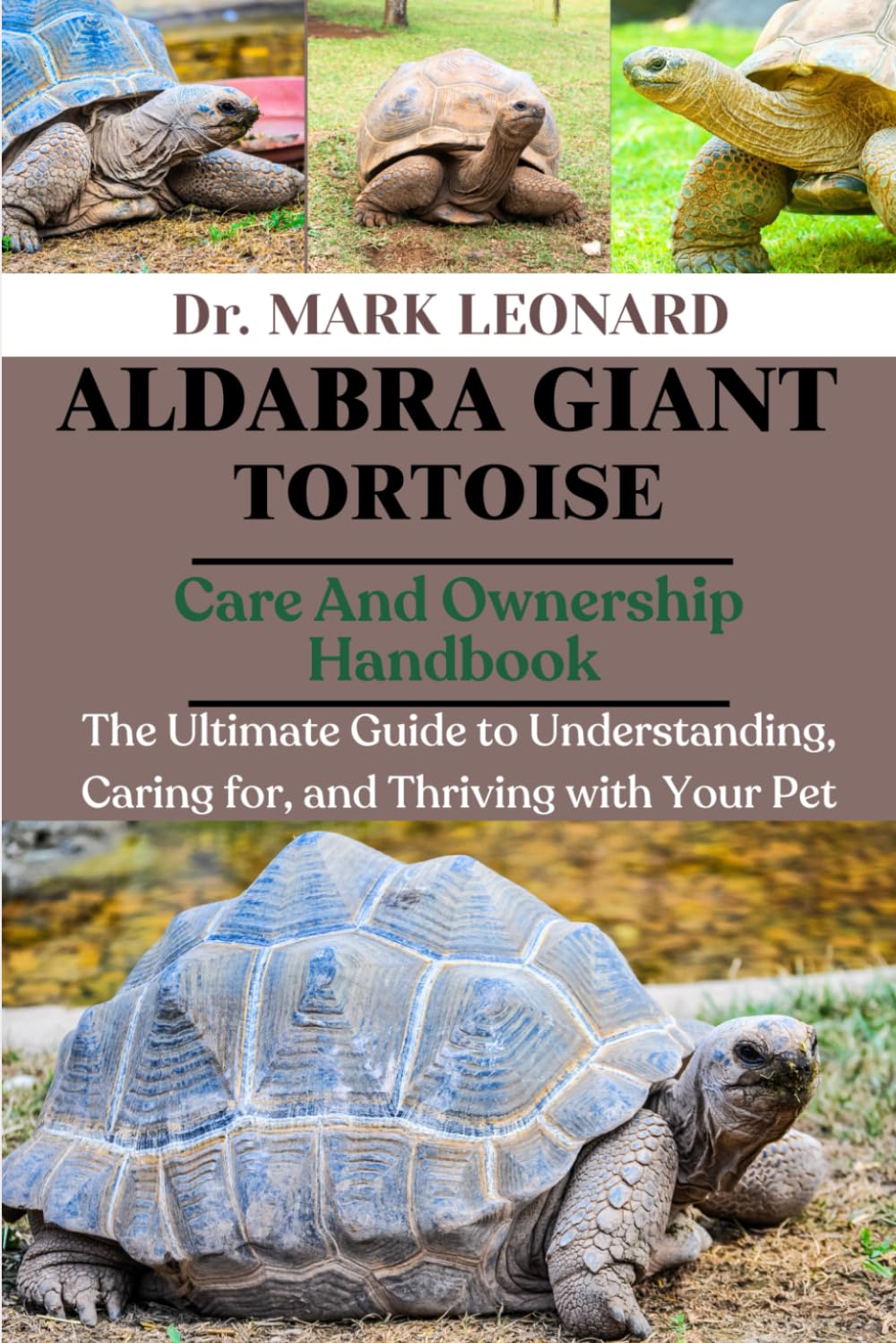 ALDABRA GIANT TORTOISE: The Ultimate Guide to Understanding, Caring for, and Thriving with Your Pet