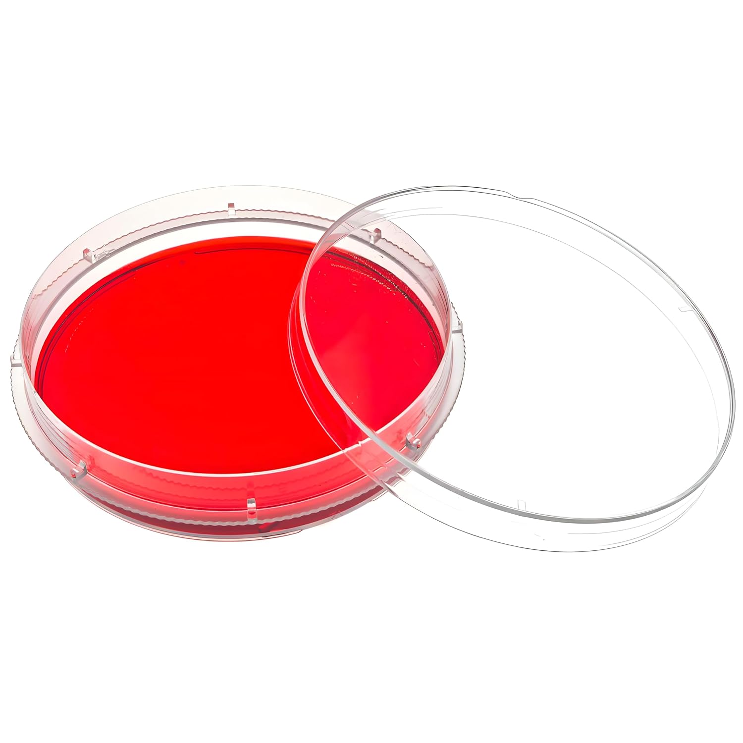 Cell Culture Dishes with Lids, Dia.100mm TC Treat & Sterile Dish, Tissue Culture Dishes for Cell Culture Labs, School Science Projects,Seeding,Storage,Biological Themed Party, 300/CS