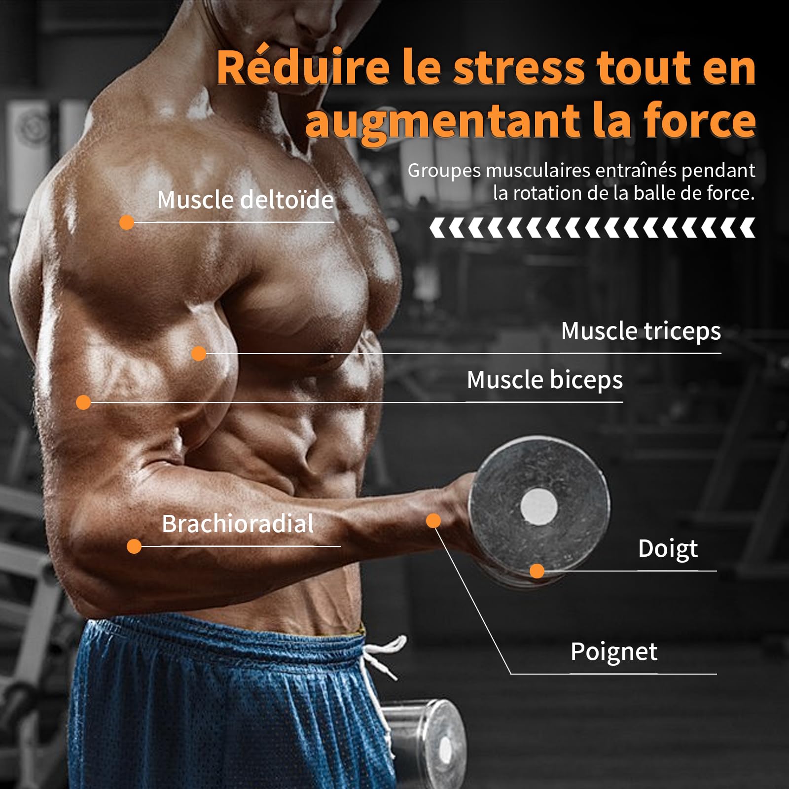 PiPiCat Gyroball Appareil d'exercice pour bras de fitness et balles de poignet anti-stress Cœur en métal Éclairage automatique et silencieux 6 vitesses et couleurs vives + sac à balles