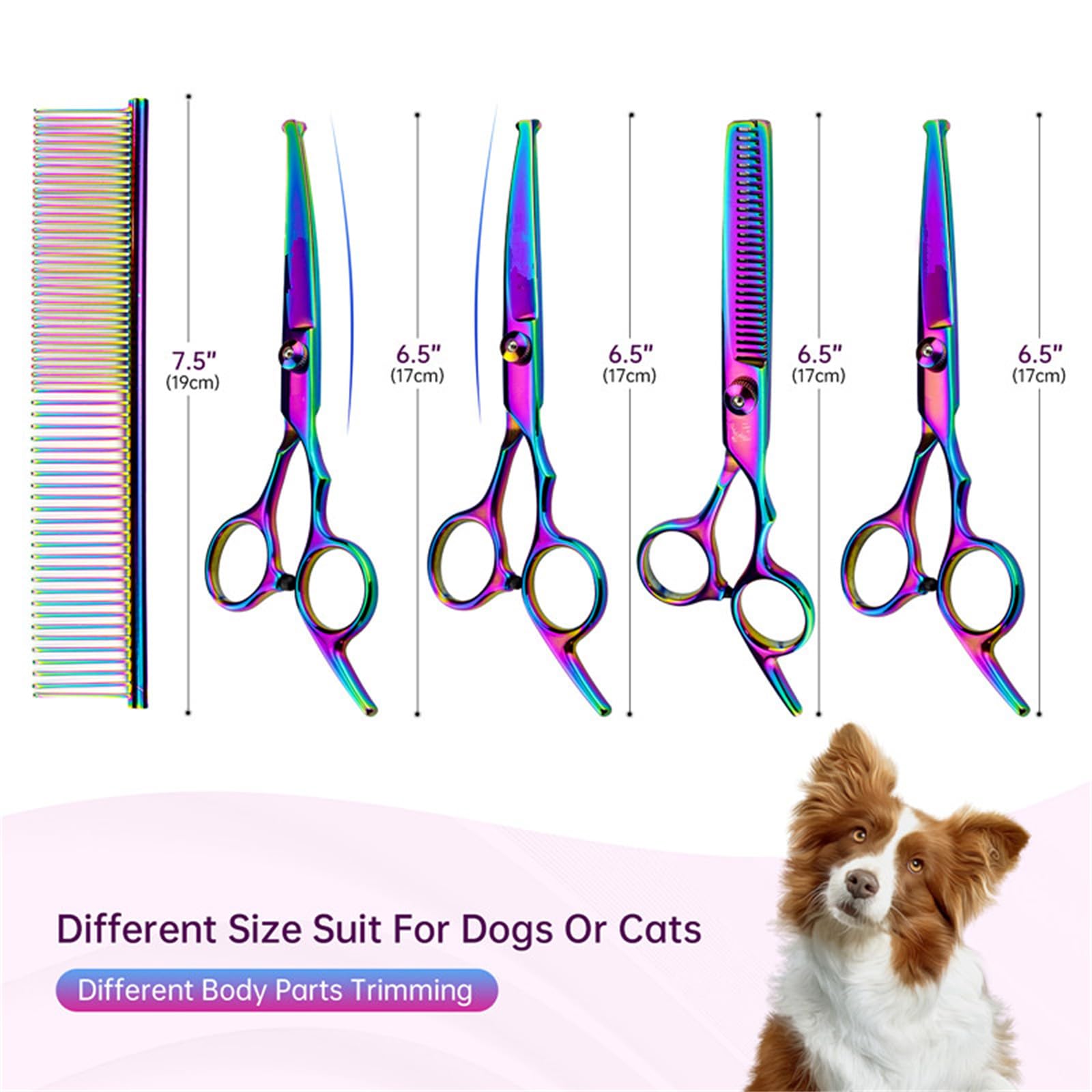 Ciseaux 6 en 1 pour chien avec pointe ogive, ciseaux à fourrure, ciseaux de toilettage pour chien, ciseaux de toilettage pour chien, ciseaux de toilettage pour animaux avec ciseaux