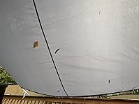 Review Image by Aryn Aryn