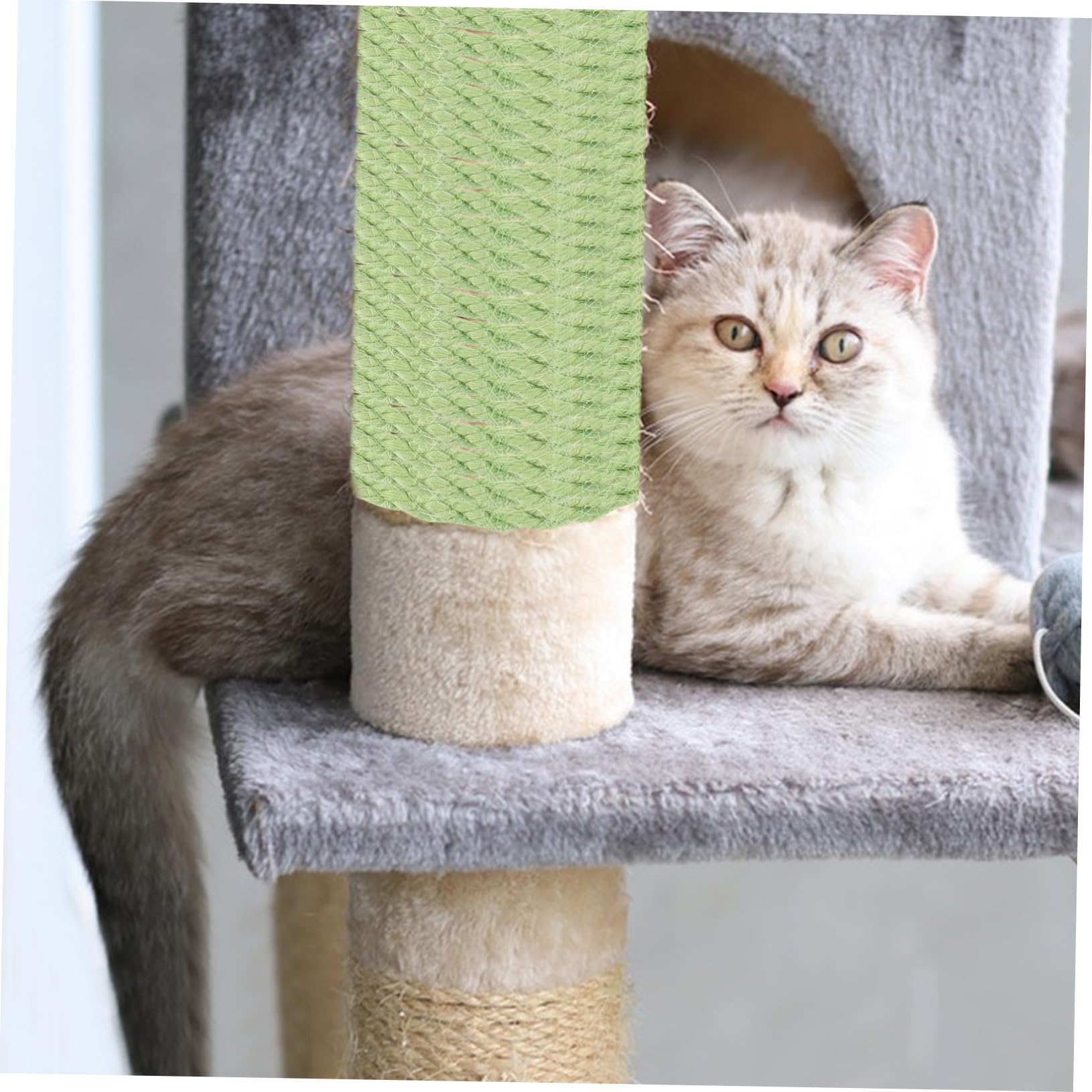 BUGUUYO 10m Sisal Rope for DIY Cat Toys Climbing Frames Rope for Cat Accessories Flexible Pet Supplies Great for Crafts Gardening Green