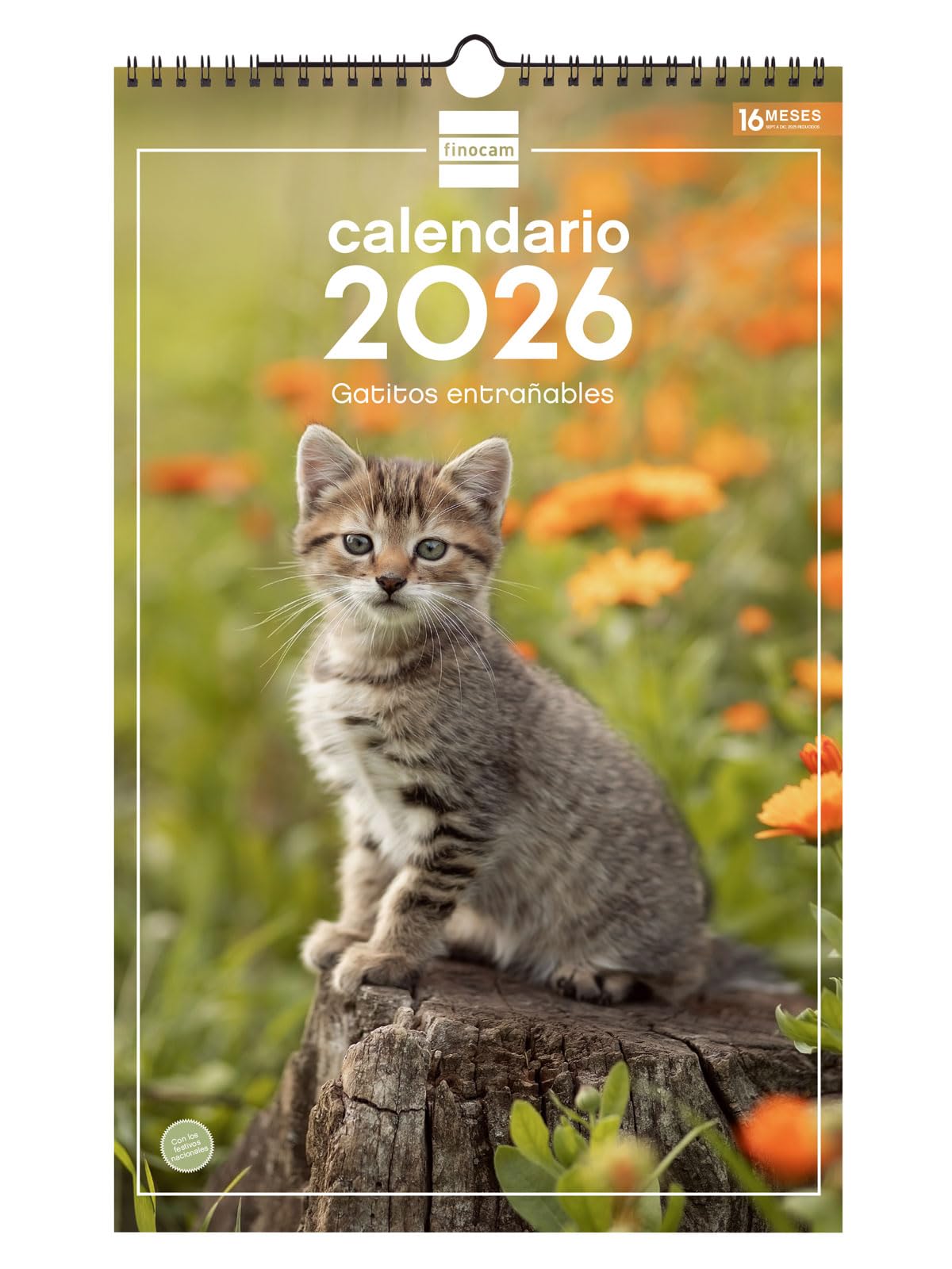 Finocam - Wall Calendar 2026 25x40 cm Month View January - December 2026 + Sep.- Dec. 2025 (4 months) reduced | Calendar 2026 | Images Kittens - English