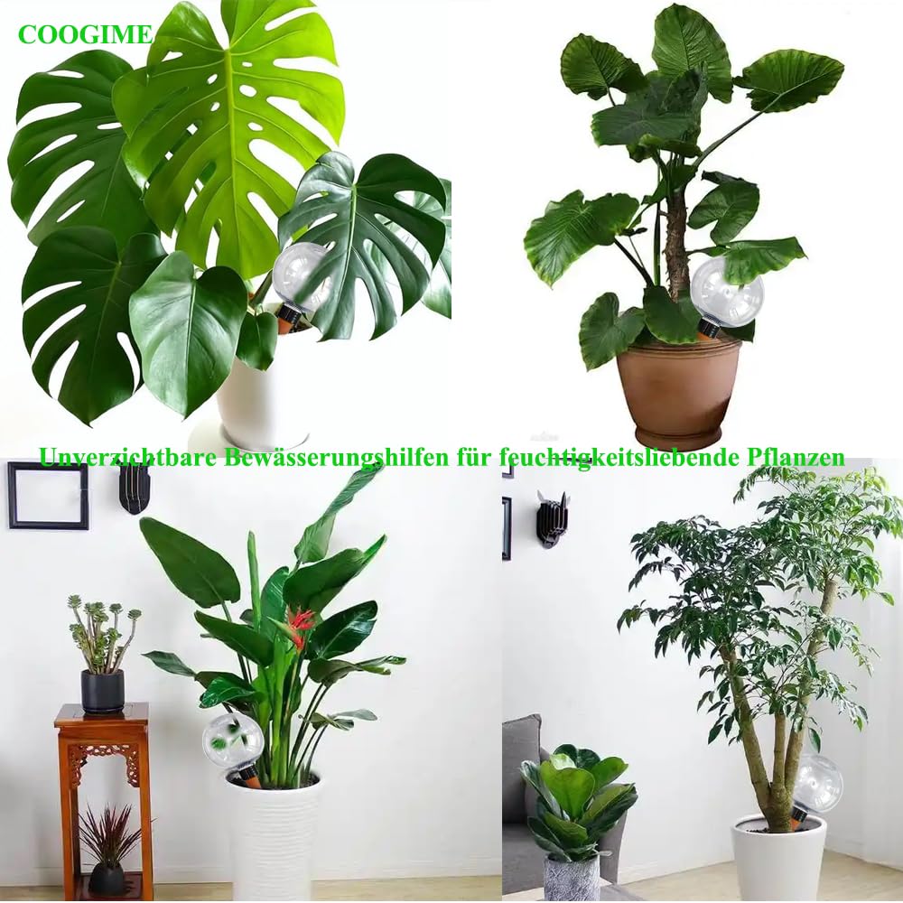 Bola de riego 500ml, Regador automático de plantas en forma de bola, dispensador de agua transparente - Riego por goteo inteligente para vacaciones, oficina y jardineros perezosos (2)