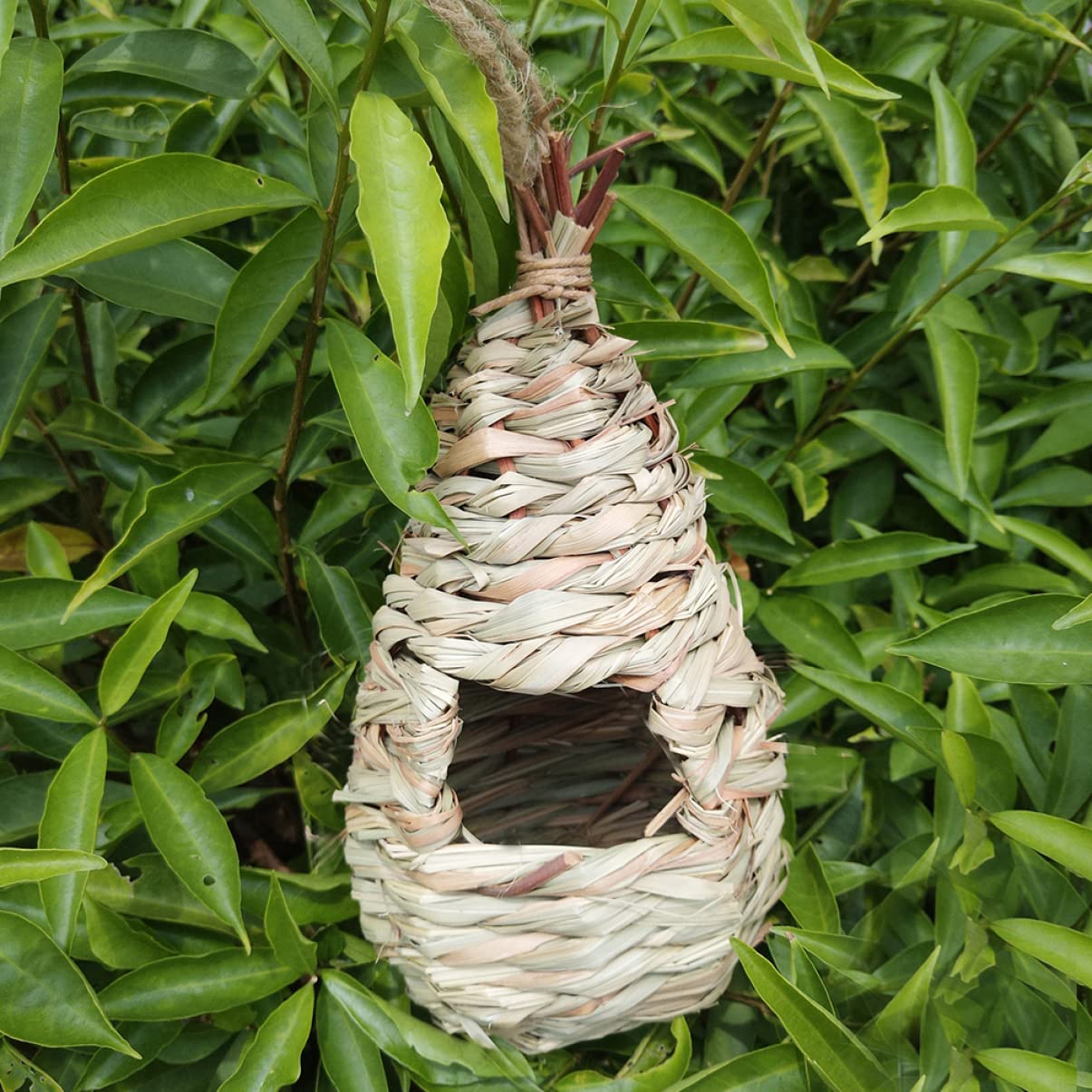 VANZACK 6 Piezas Nido De Cría De Pájaros Casa De Pájaros Colgante Nidos De Pájaros para Manualidades Nido De Pájaros Al Aire Libre Cabaña De Pájaros Colgante Casas De Pájaros para