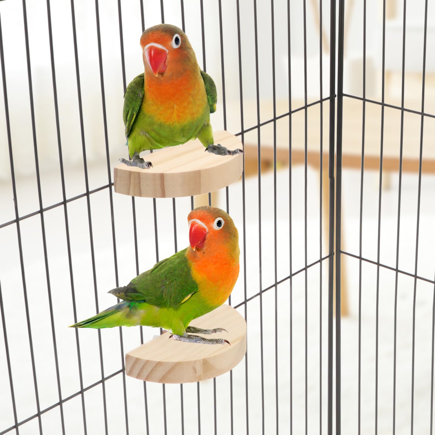 Vogel Sitzstange Aus Naturholz Mit Grobsand – Plattform Zum Krallenschleifen Für Papageien, Sittiche & Kleine Vögel (Größe C, Blau)
