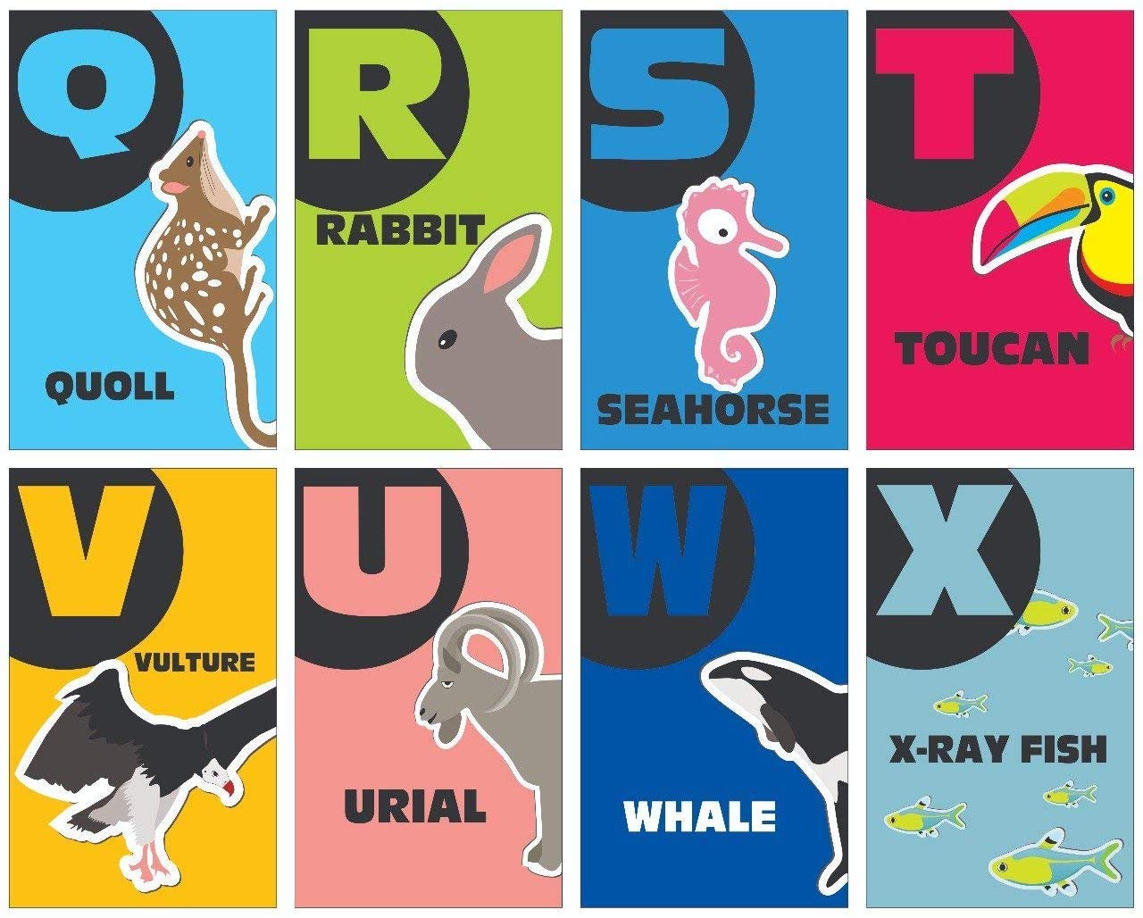 KIDSVILLE ABC Alphabets, Hindi a aa e, Zoo Animals, Flowers Waterproof Flash Cards (3.5 inch x 5.5 inch, Multicolored) (ABC Alphabets) 1