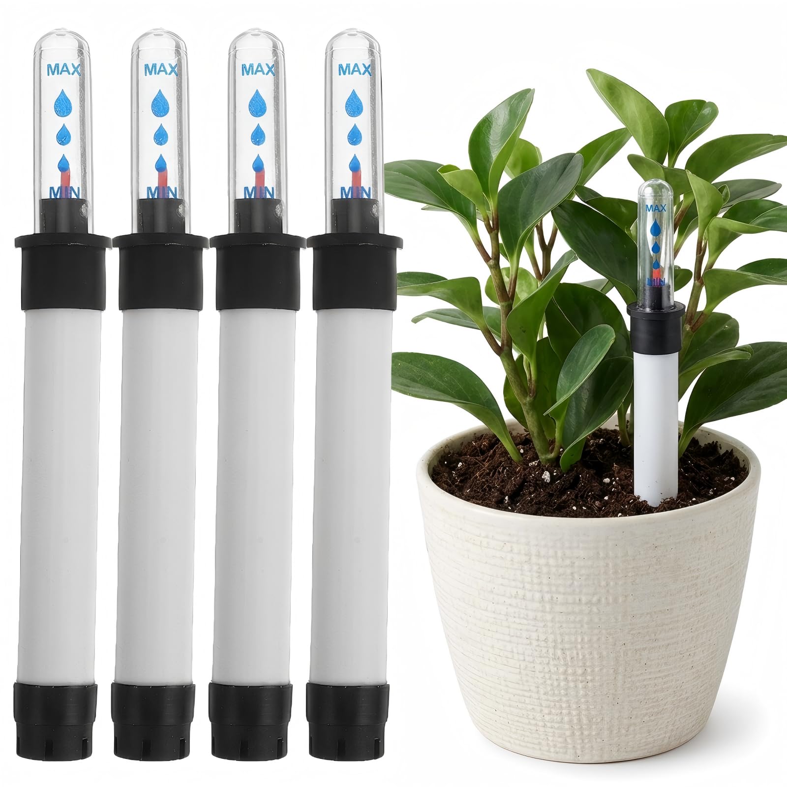 Jauge de niveau d'eau Milisten contre le dessèchement des plantes humidité précise en lot de 4