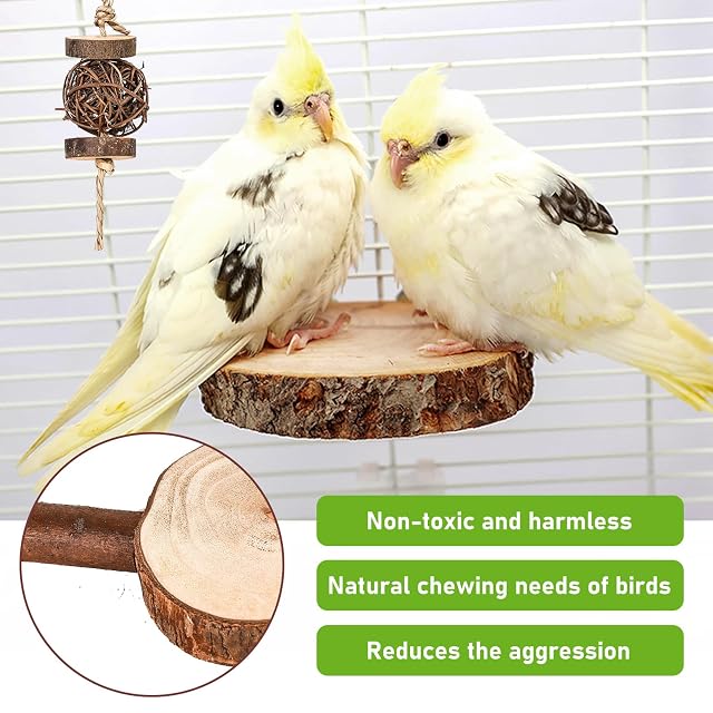 Foto 4 de 7 de Perca de Pájaro de Madera Natural,8 Pz Perchas Naturales para Pájaros,Juguetes para Pajaros,Juguetes…