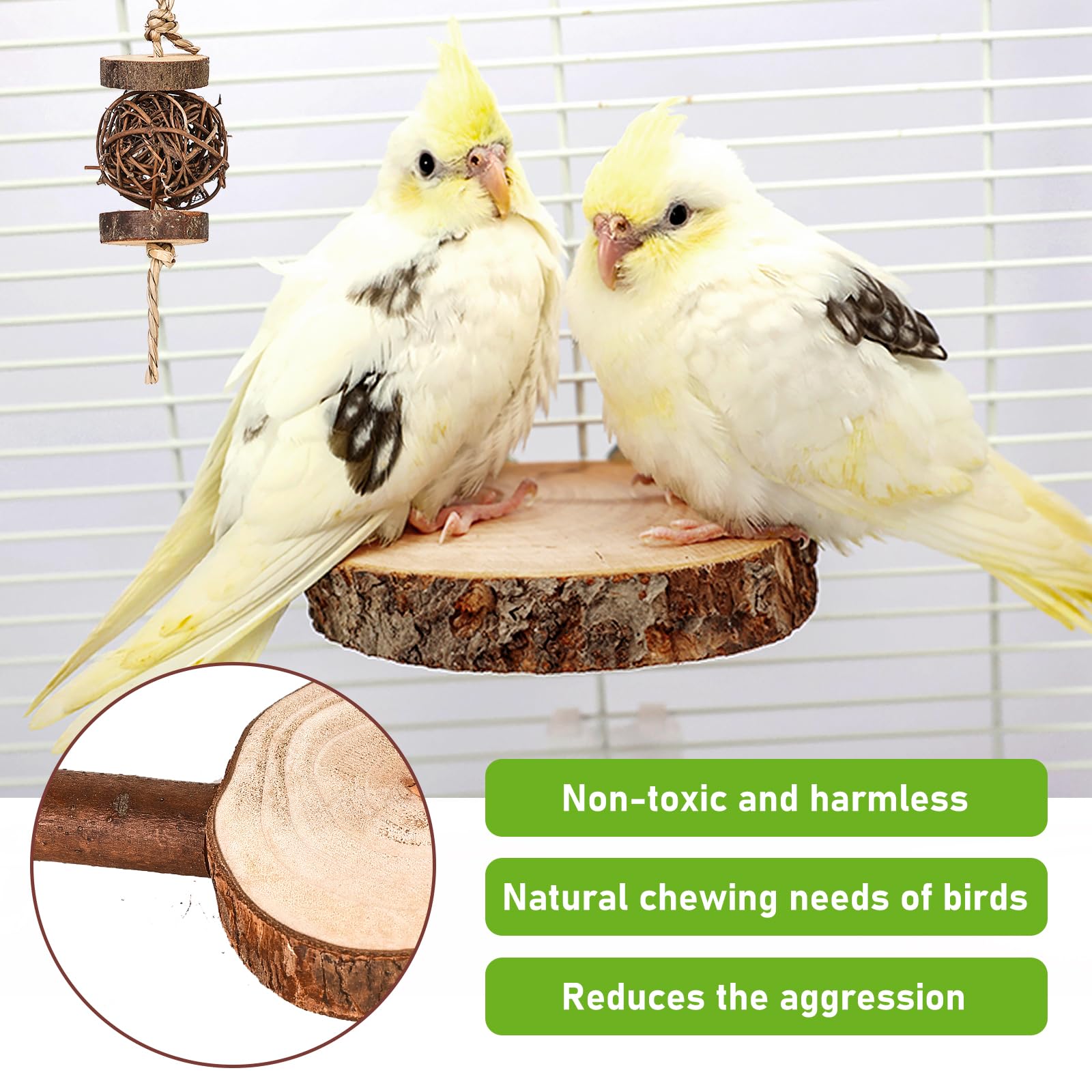 Posatoi per Uccelli, 8 Pz in Legno Naturale - Giocattolo per Pappagalli, Trespolo, Persico - Supporti per Cacatua, Cocorite, Fringuelli