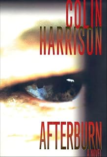 Afterburn: A Novel