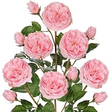 Real Touch Artificial Roses Set of 6 23.6" Long Stem Pink Garden Roses Lifelike Faux Silk Flowers for Wedding Bouquets, Home Decor, Centerpieces & Floral Arrangements