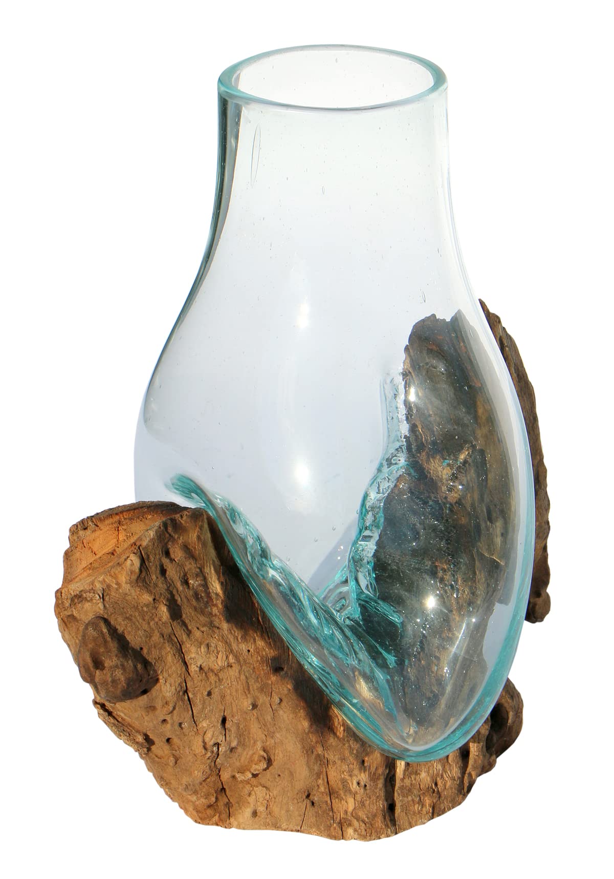 Vaso in vetro con radice di legno, stile moderno, idea regalo per la decorazione, misura M