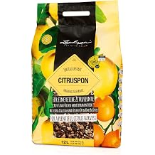 LECHUZA CITRUSPON Citrus Potting Soil, 2.7 US Dry gal | 2.7 US dry gal; peat-free mineral substrate; improves drainage and aeration; prevents root rot; for lemon, orange and citrus
