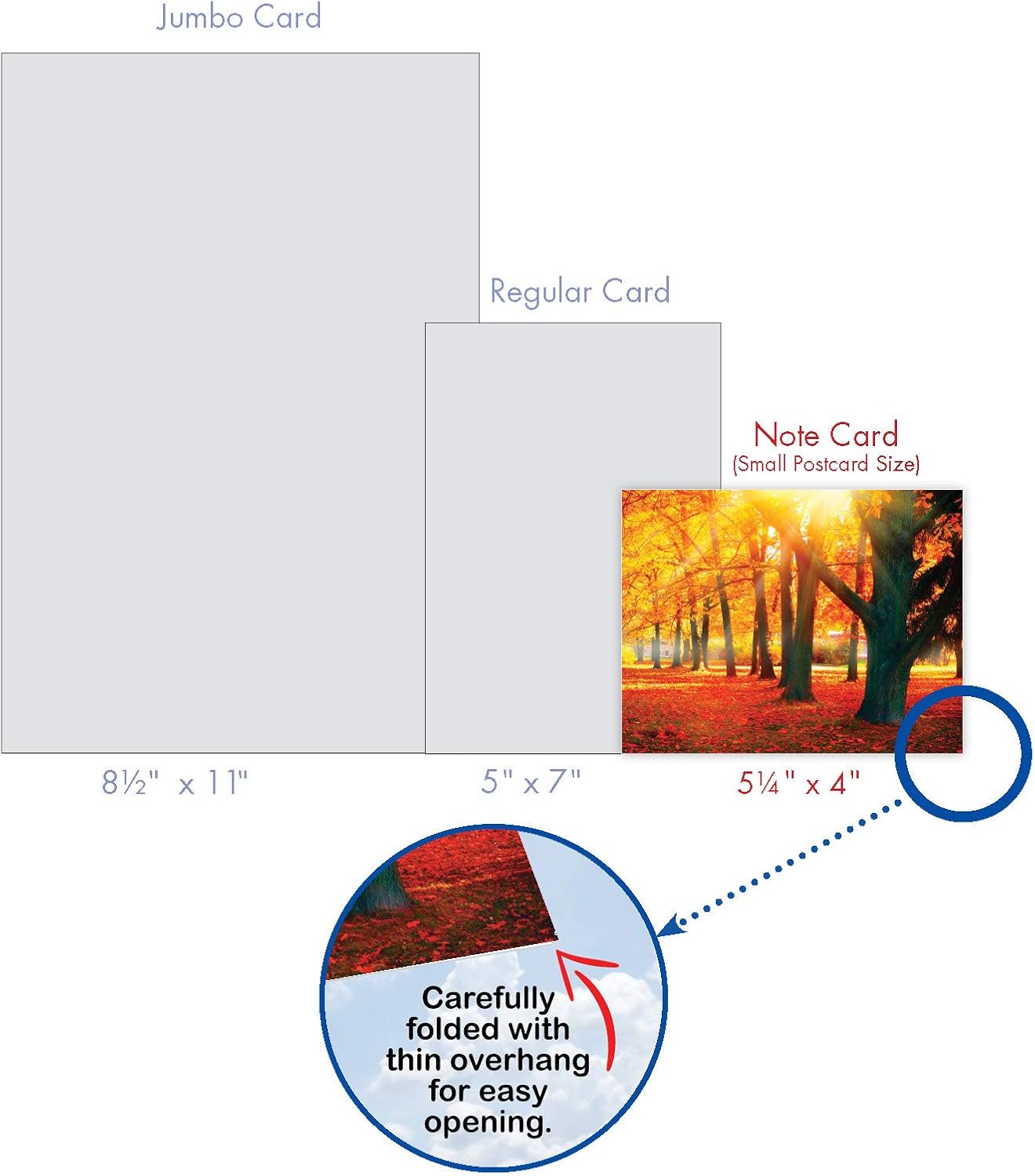 The Best Card Company - 10 Beautiful Note Cards Blank (4 x 5.12 Inch) - Fall and Autumn Season, Boxed Notecard Assortment - Fall Foliage M4971OCB-B1x10 - Image 7