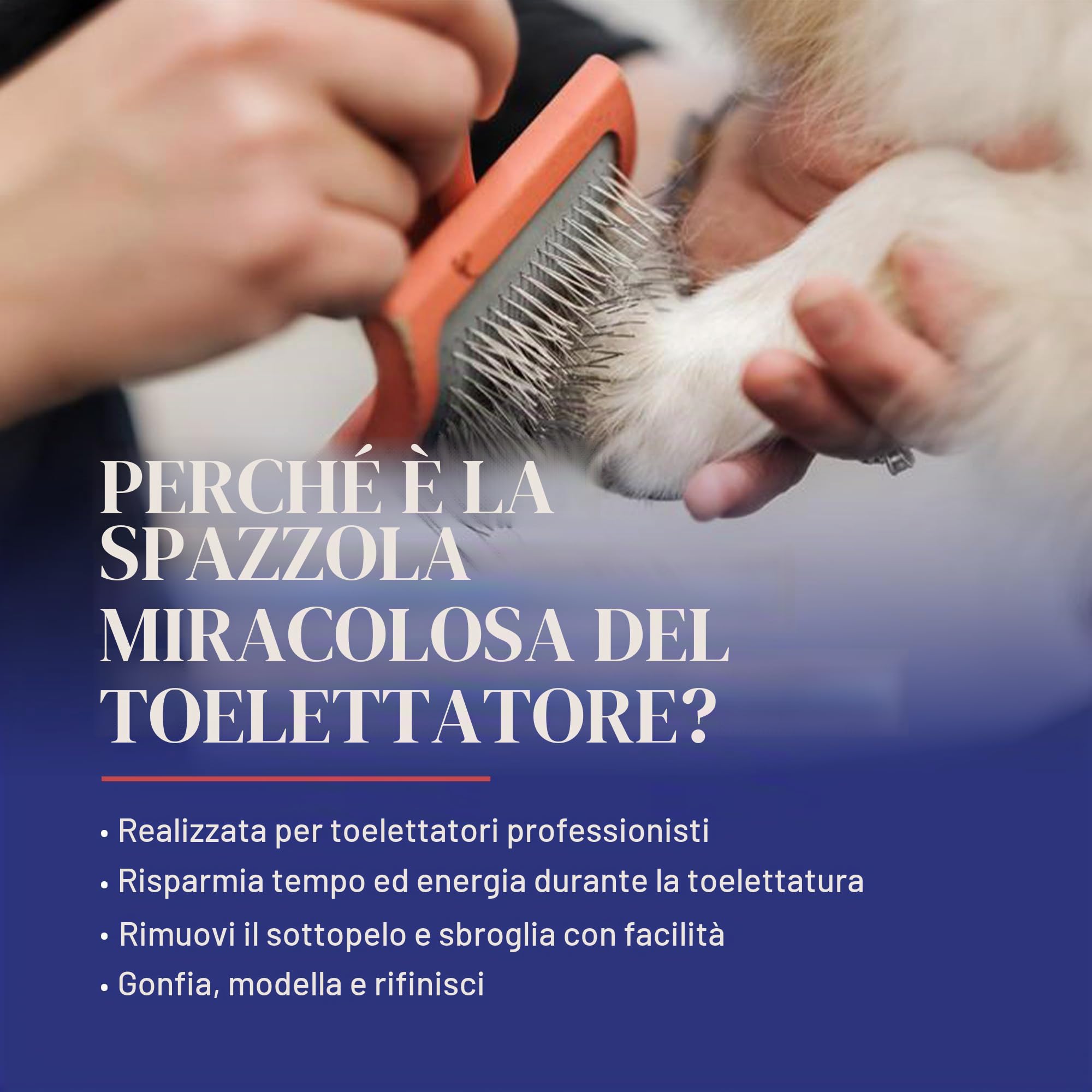 Chris Christensen Baby G - Spazzola per cani da toeletta, per lo sposo come un professionista, stile districante, consente di risparmiare tempo di energia, corallo, piccola