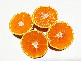 和歌山 有田みかん 約10kg (2L、3Lサイズ) ご家庭用【2025年先行予約】