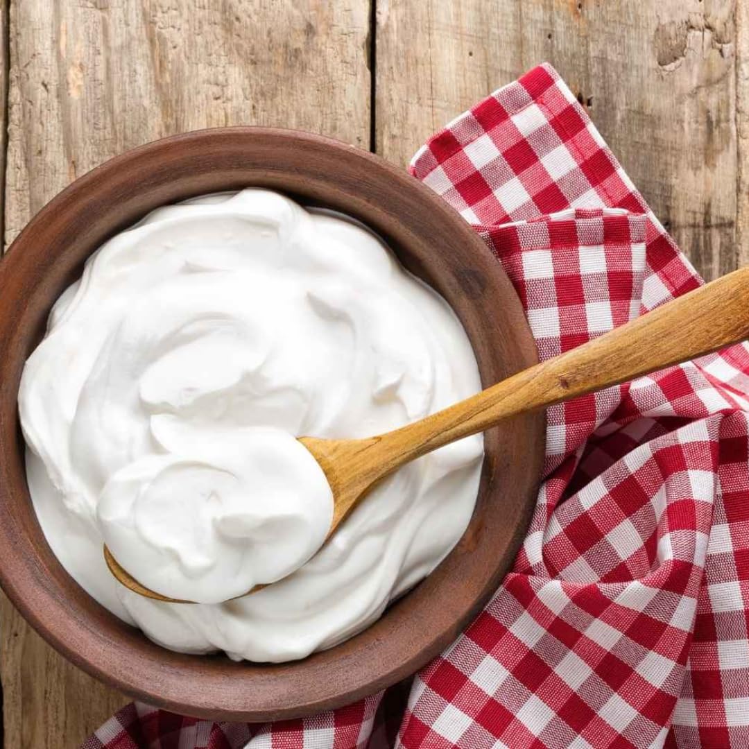 Aspendos Joghurt nach griechischer Art, Köstliches Milchprodukt 450 Gramm X 10 Stück Joghurt