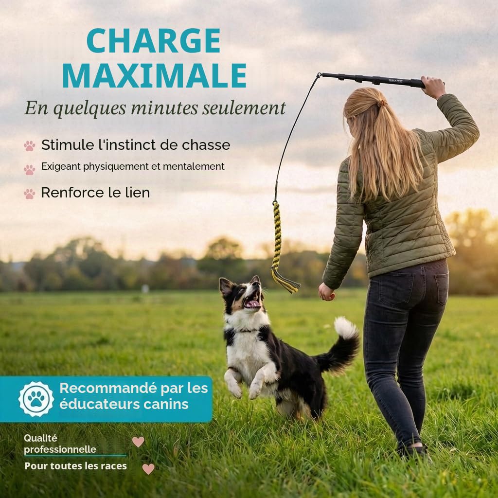 HUND IST KÖNIG Canne à pêche Professionnelle pour Chien - Idéale pour Le Dressage de Votre Chien - Jouet pour Chien - pour l'entraînement en extérieur - avec Corde de Rechange et Corde