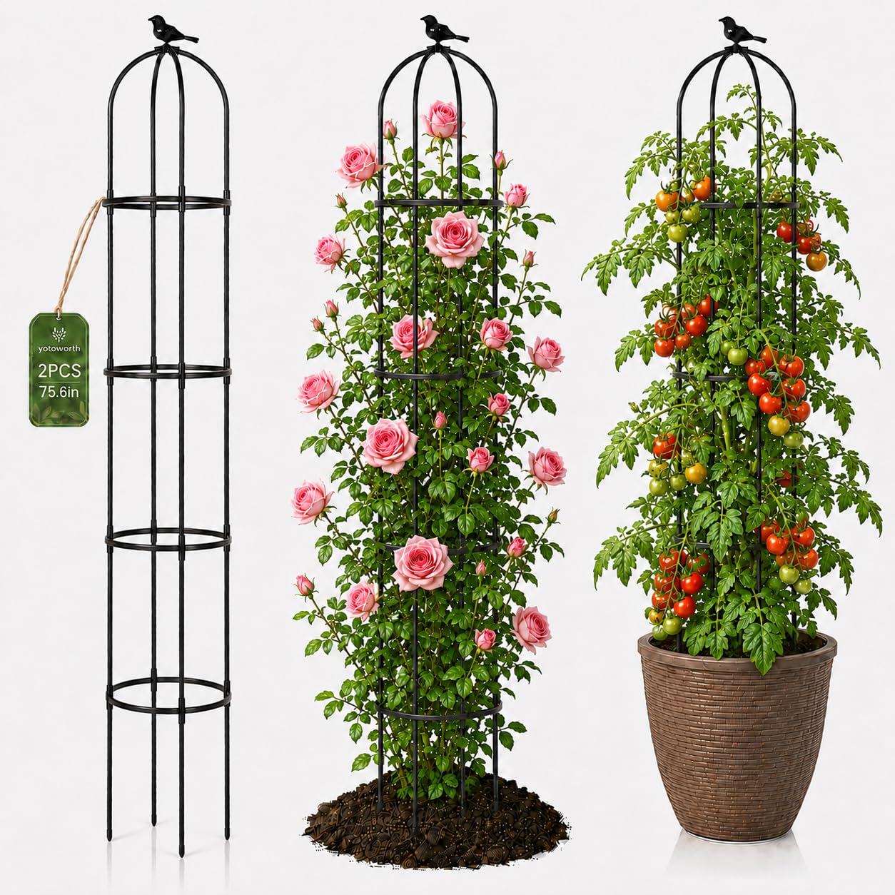 yotoworth Garden Obelisk Trellis 6.3 ft Tall