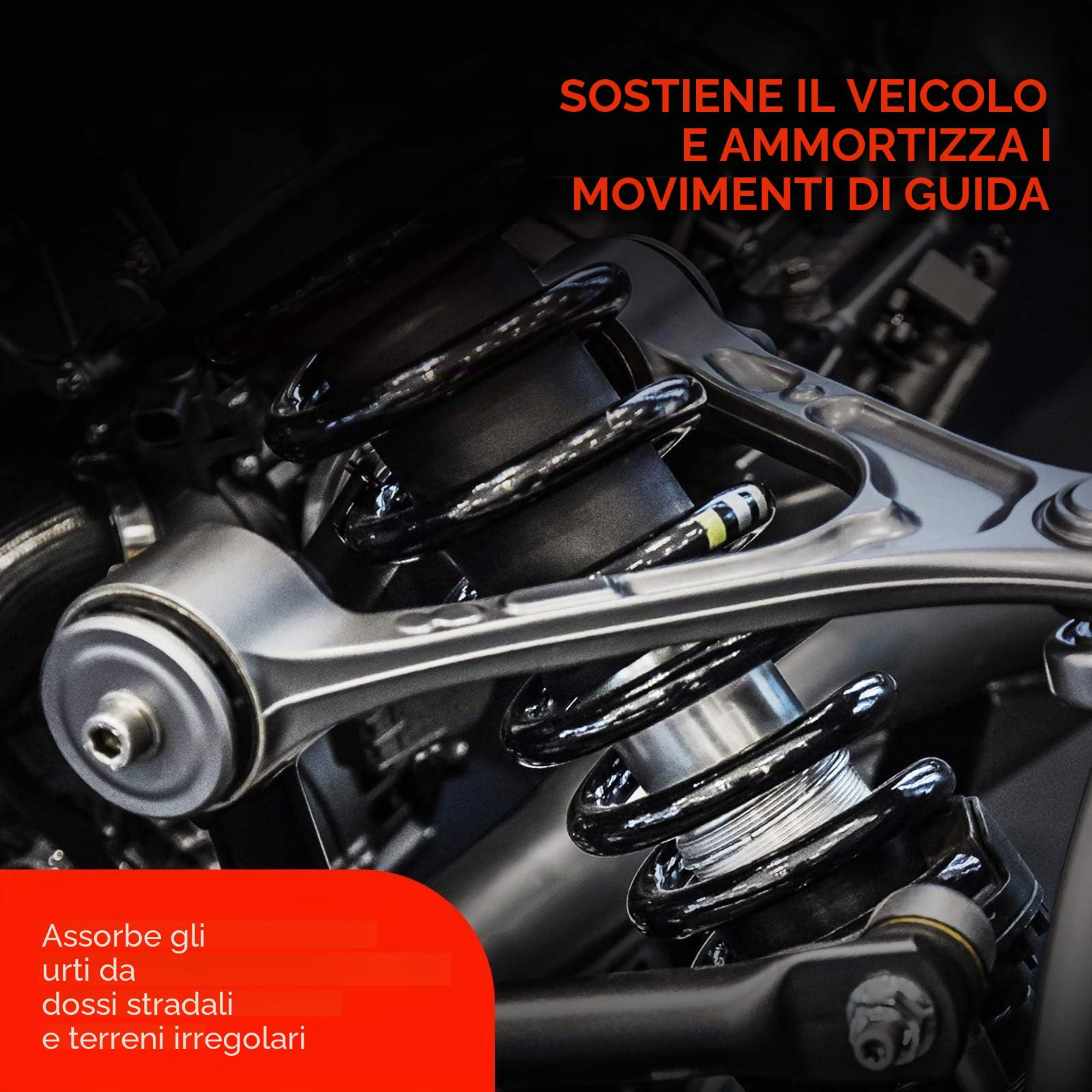 Frankberg 2 molle di sospensione asse posteriore 51780554 | Compatibile con: 169