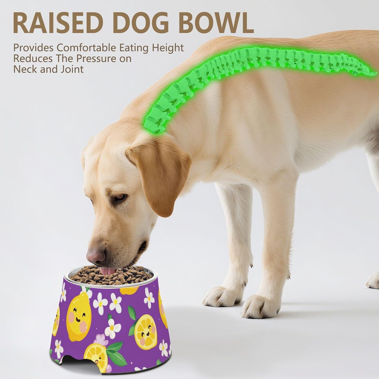 Cute Lemon Fruit Purple Pets Water&Food Bowls Non Slip Stainless Steel Pets Basic Bowls for Small Dogs Whisker Friendly