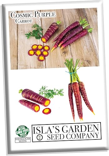 Semillas de zanahoria púrpura cósmica para plantar, más de 500 semillas tradicionales por paquete, semillas de jardín de Isla (semillas de jardín de