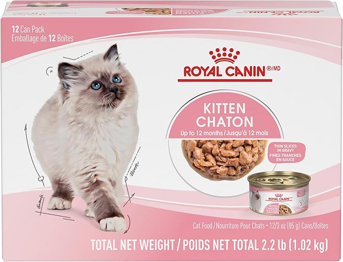 Royal Canin Feline Health Nutrition Kitten Tranches fines en sauce – Nourriture pour chaton en conserve, boîtes de 85 g (ensemble de 12)