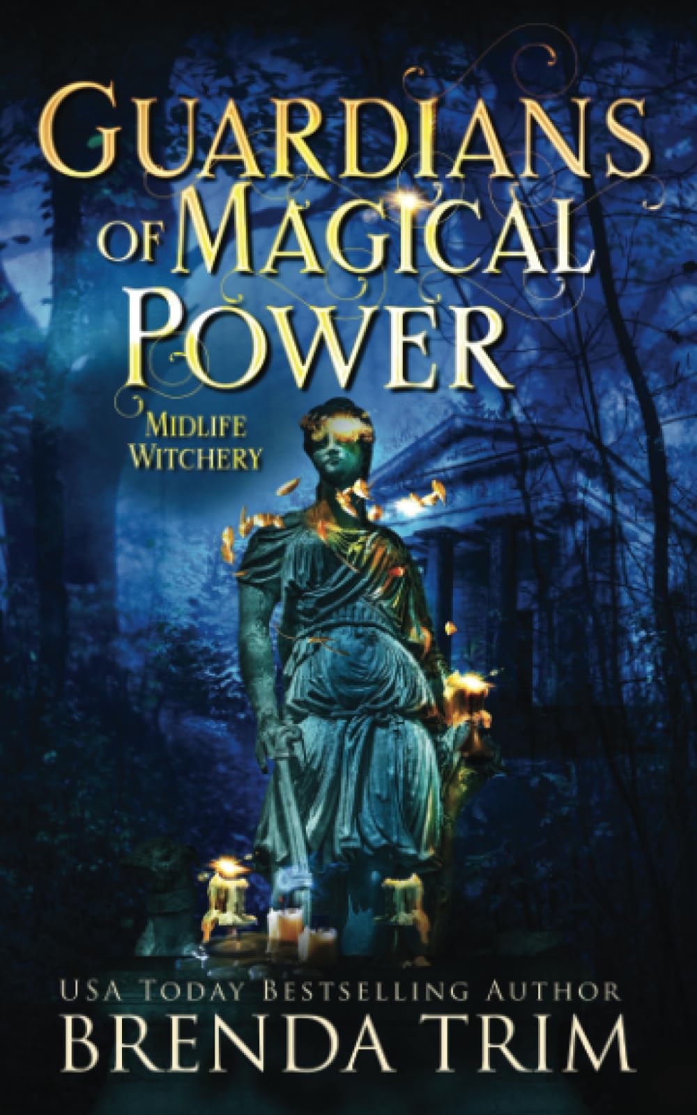 Cover of Guardians of Magical Power