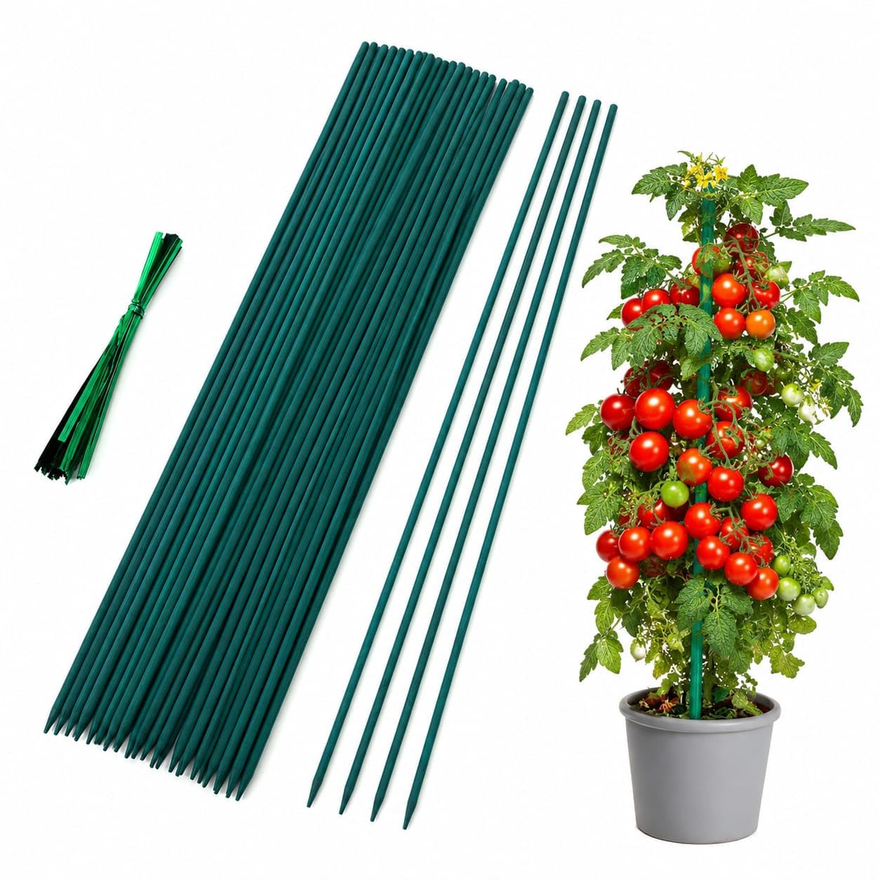 LOIBUYZ Bamboo Canes - Plant Supports for Outdoor Plants – Heavy Duty Professional Bamboo Sticks for Plants, All Lengths 2,3,4,5,6,7 & 8ft Garden Canes, Garden Plant Supports (20, Green Plant Sticks)