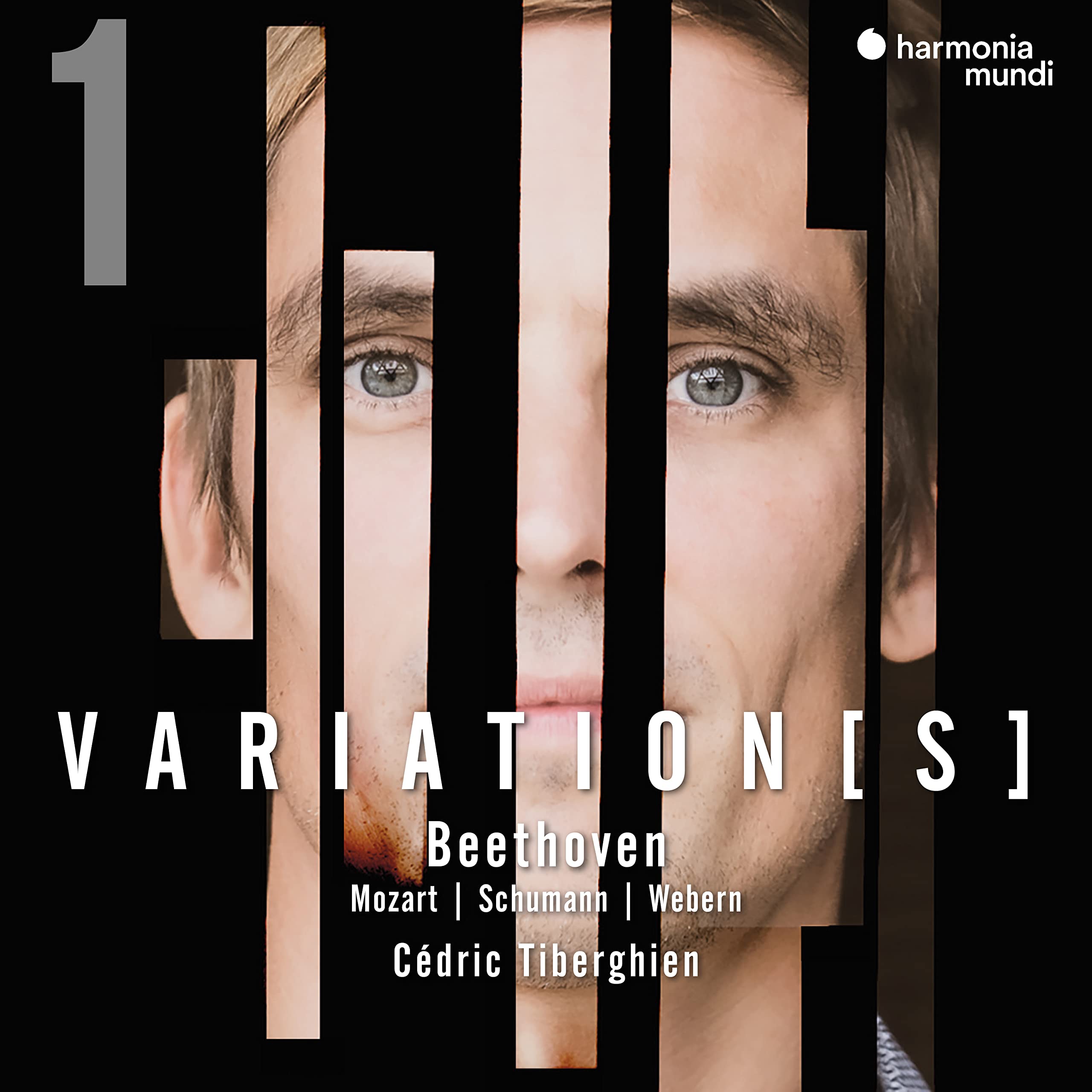 Beethoven: Complete Variations For Piano